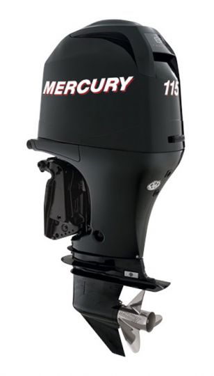 Mercury F80 & F100 & F115 EFI