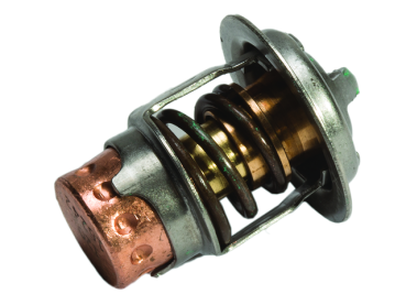 Thermostat - 8M0223832